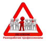 Разноробочии
