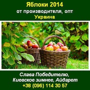 Яблоки 2014 Яблоки опт,  яблоки свежие Украина