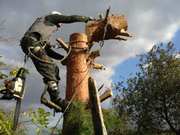 Спиливание деревьев любой сложности, Киев и область